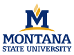 Montana University